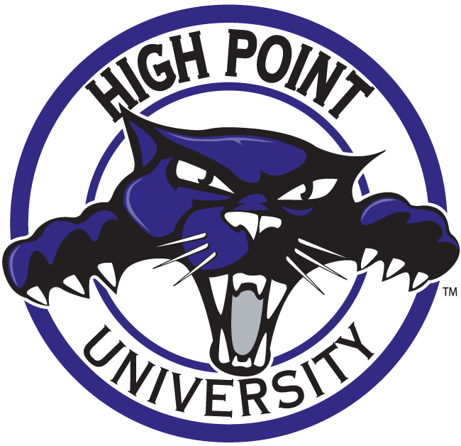 High Point Panthers 2004-2011 Alternate Logo v3 diy fabric transfer